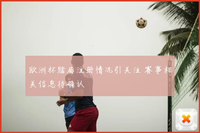欧洲杯赌局注册情况引关注 赛事相关信息待确认