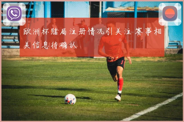欧洲杯赌局注册情况引关注 赛事相关信息待确认