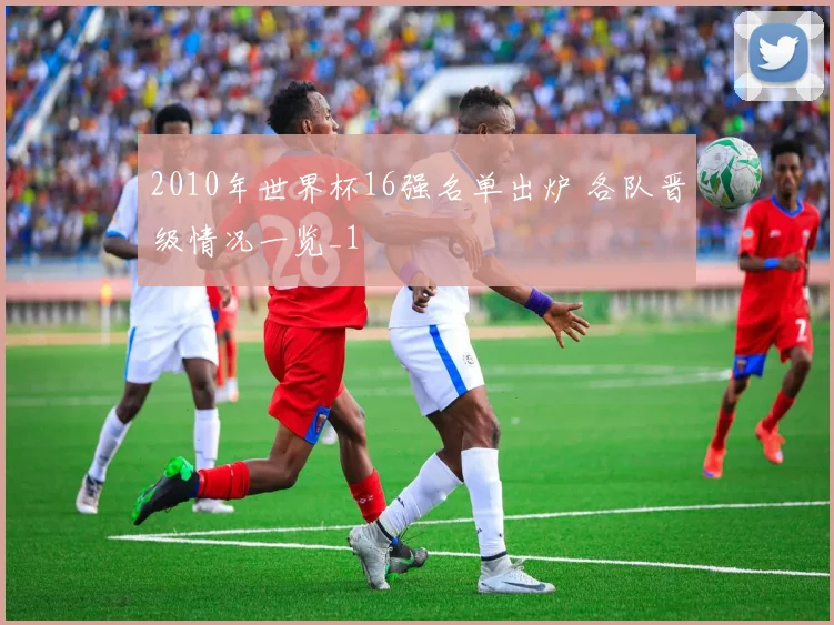 2010年世界杯16强名单出炉 各队晋级情况一览_1
