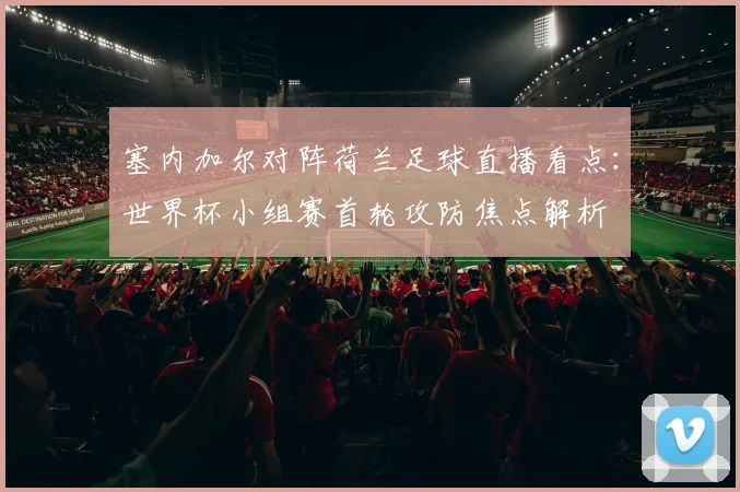 塞内加尔对阵荷兰足球直播看点：世界杯小组赛首轮攻防焦点解析