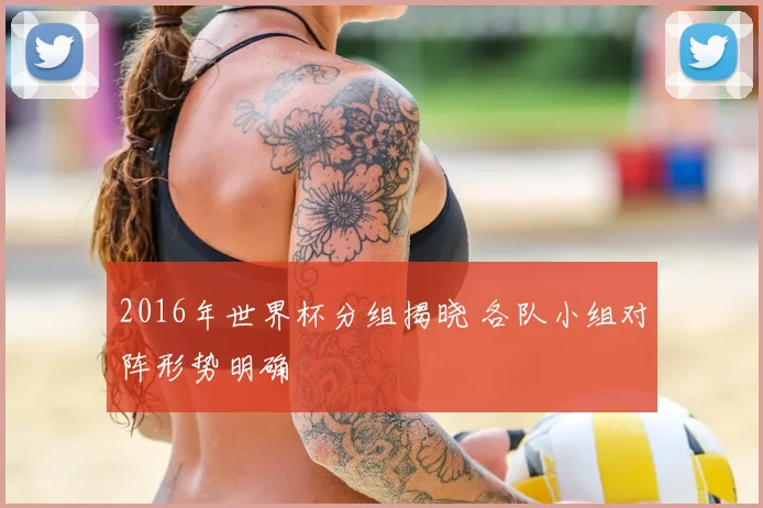 2016年世界杯分组揭晓 各队小组对阵形势明确