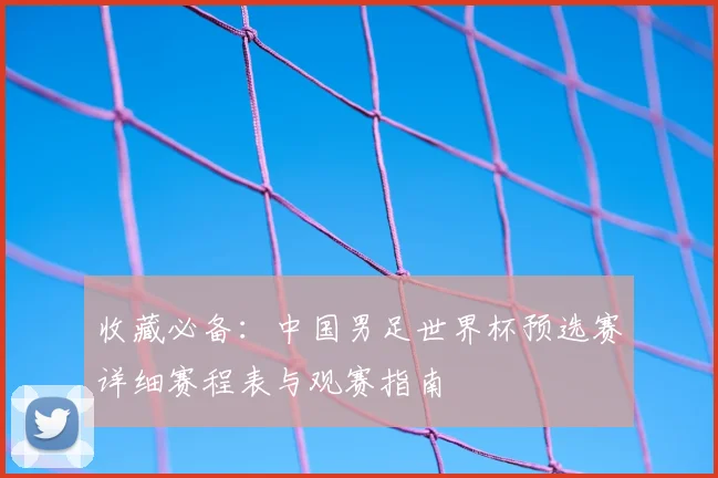 收藏必备:中国男足世界杯预选赛详细赛程表与观赛指南