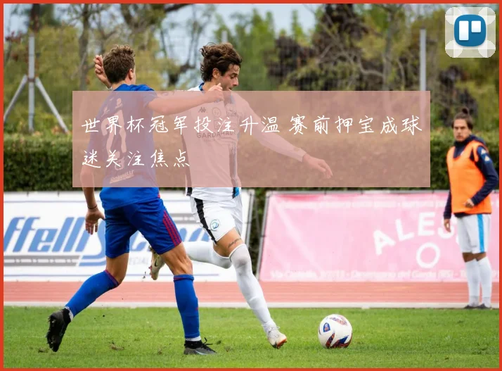 世界杯冠军投注升温 赛前押宝成球迷关注焦点