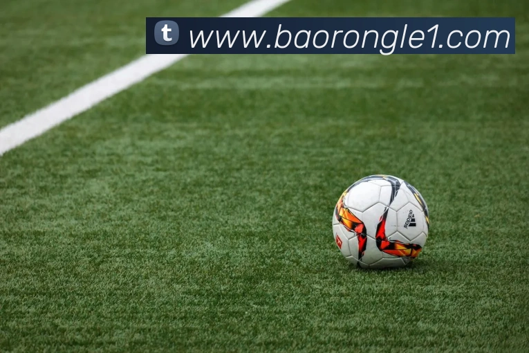 赛事专题整合